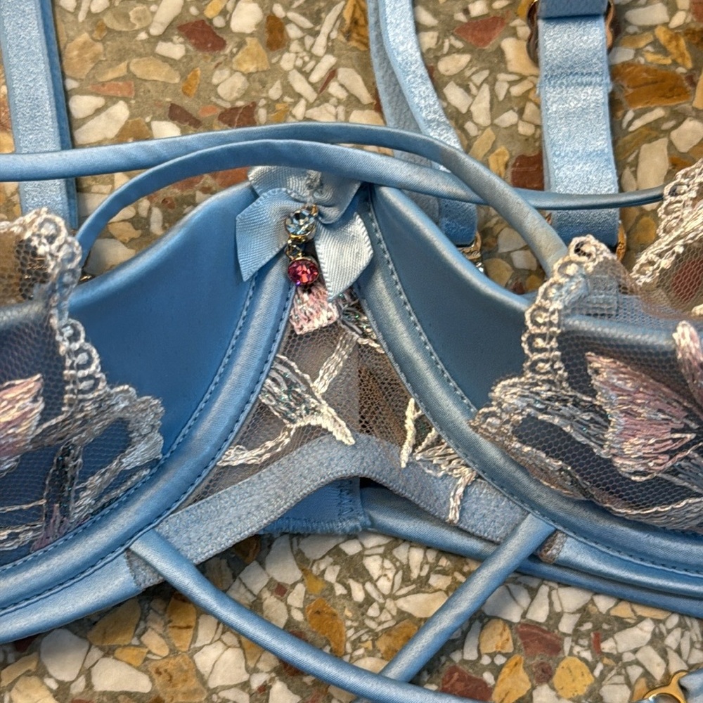 Honey Birdette Evangeline Bra & Panty Set - Picture 6 of 9